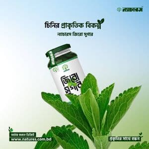 natureszerosugar100gm