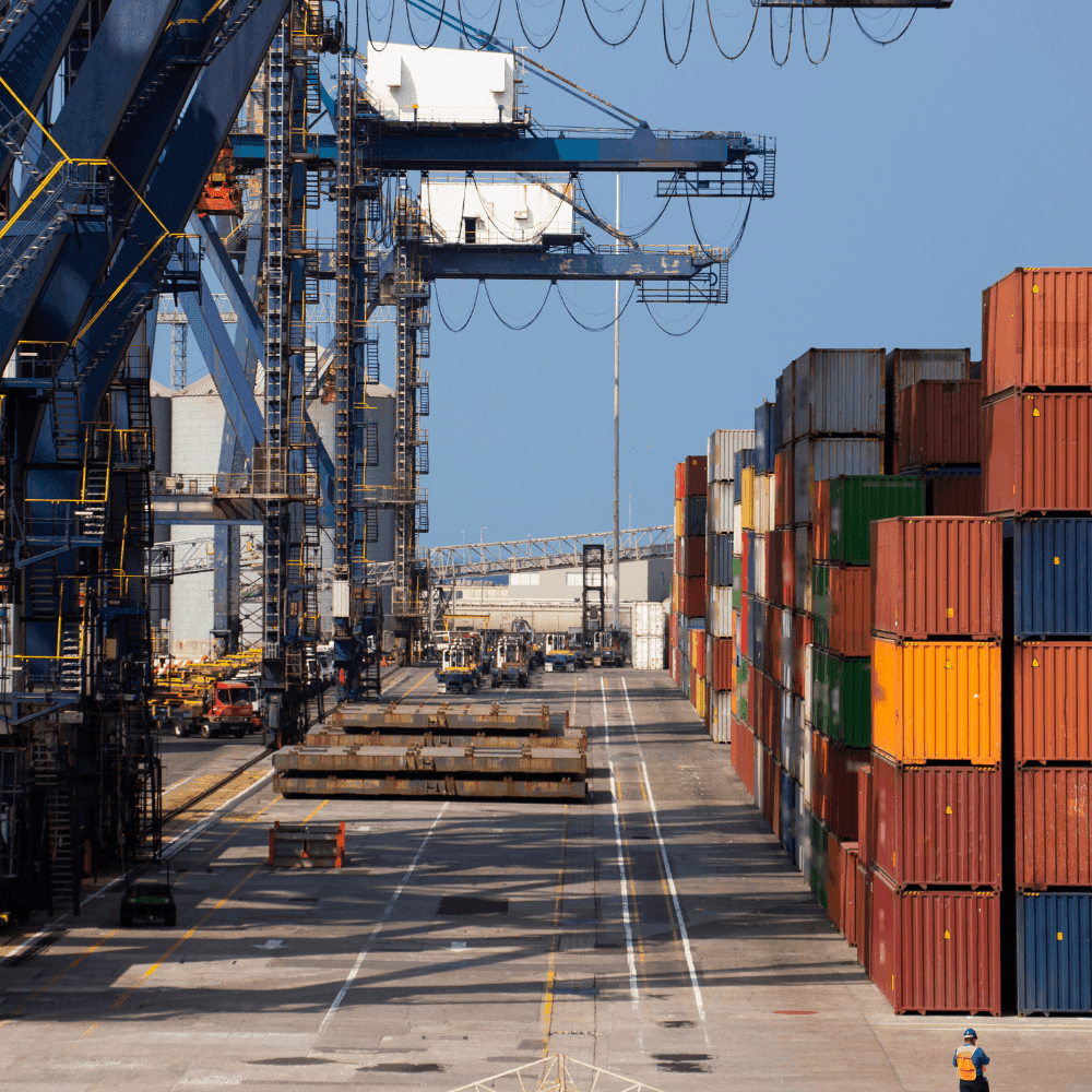 Your paragraph text (1)