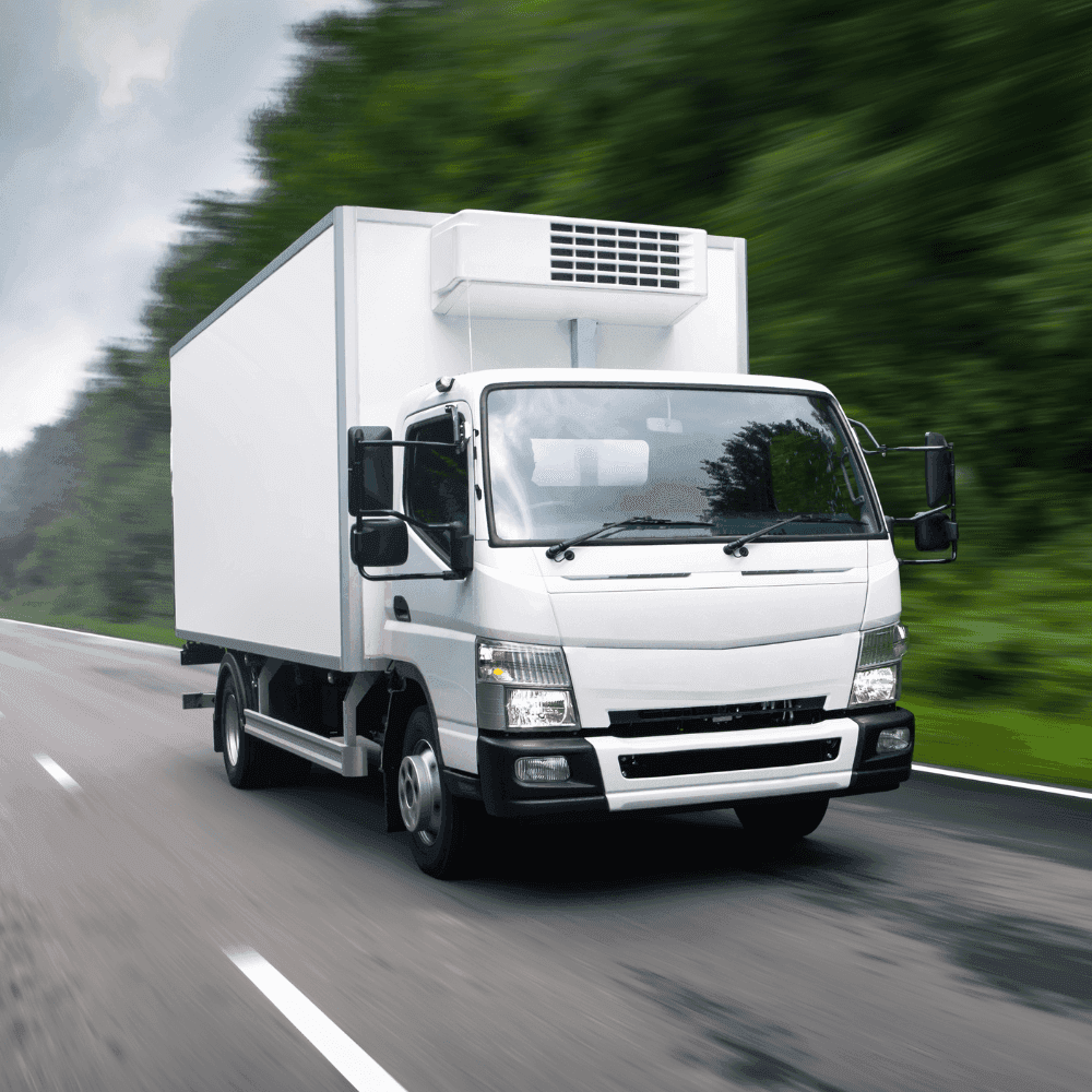 Your paragraph text (3)