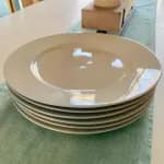 porcelain-dinner-plate-10-5in